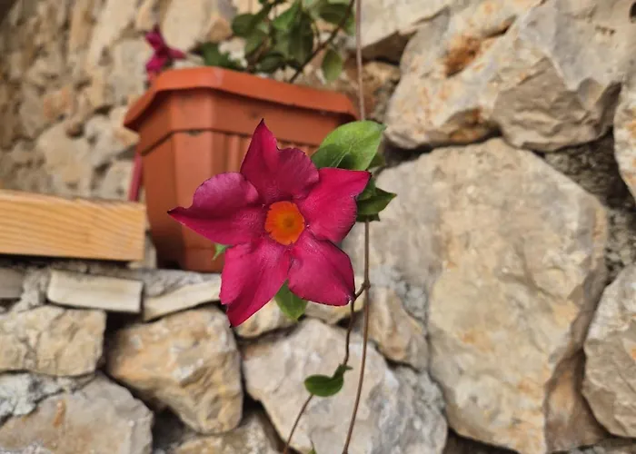 Villa Kuca Za Odmor 