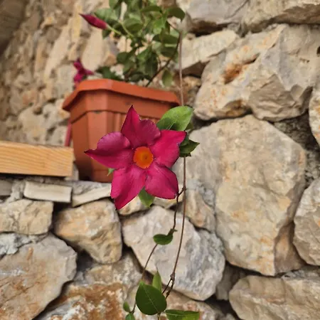 Villa Kuca Za Odmor 